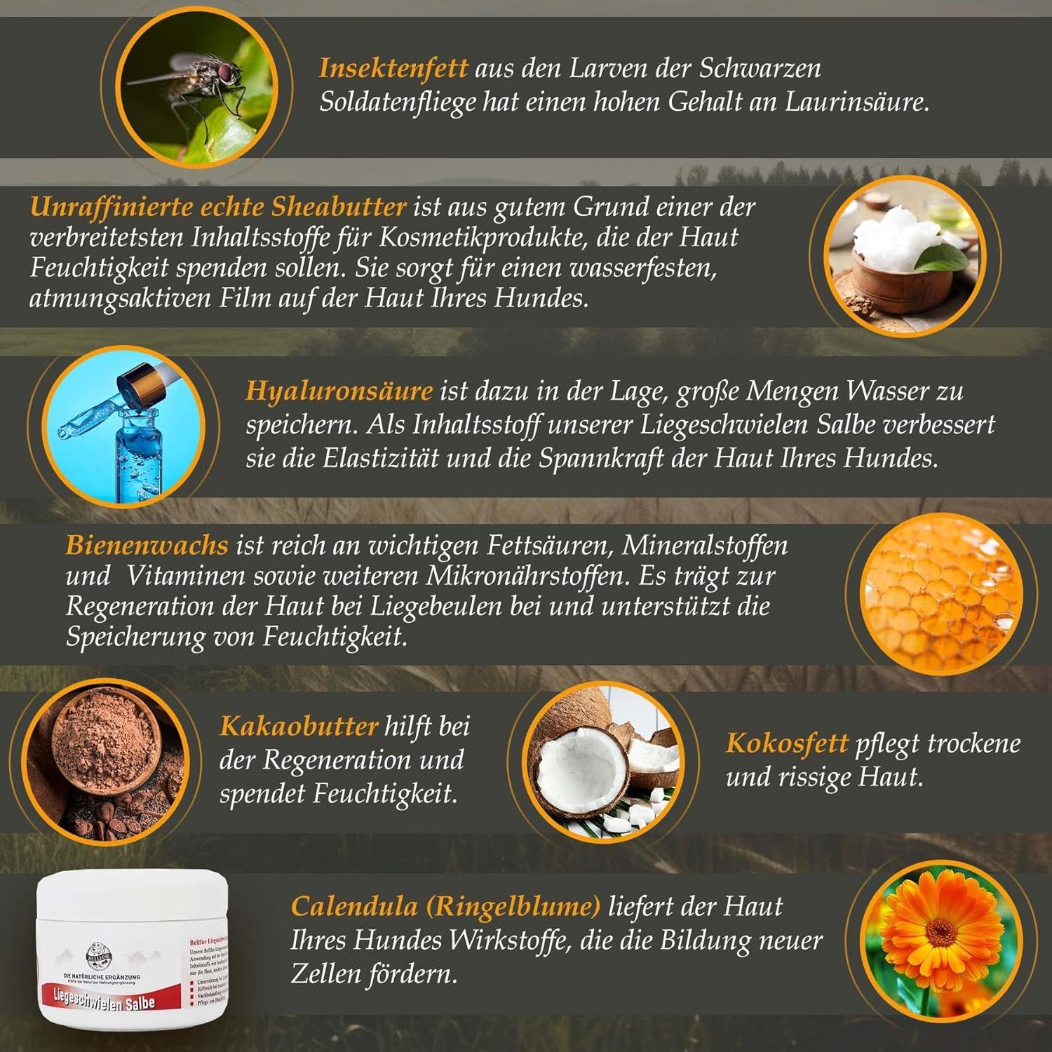Bellfor Liegeschwielen Salbe natürlich für Hunde
