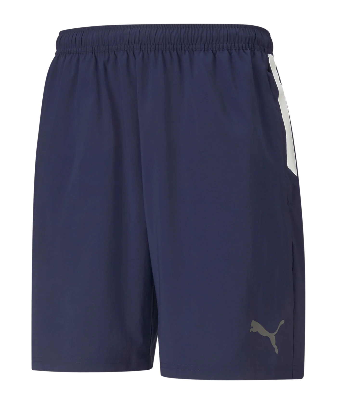 PUMA teamLIGA Sideline Shorts Blau F06