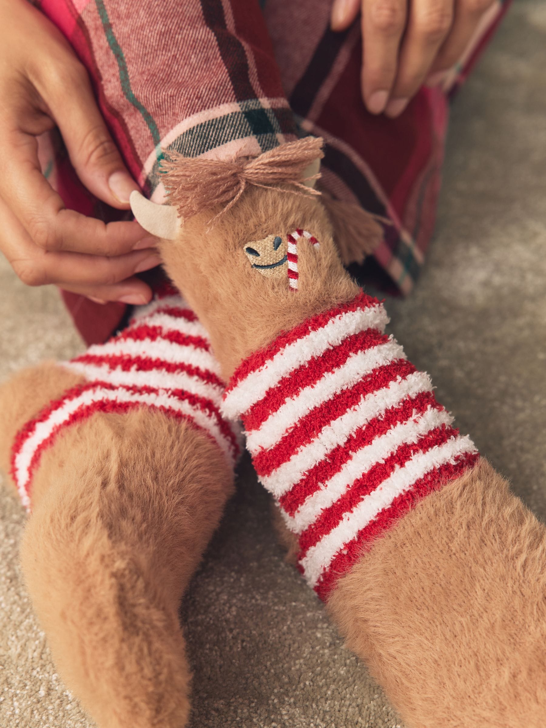 Hamish The Highland Cow - 1 paar behaaglijke enkelsokken in een geschenkdoos