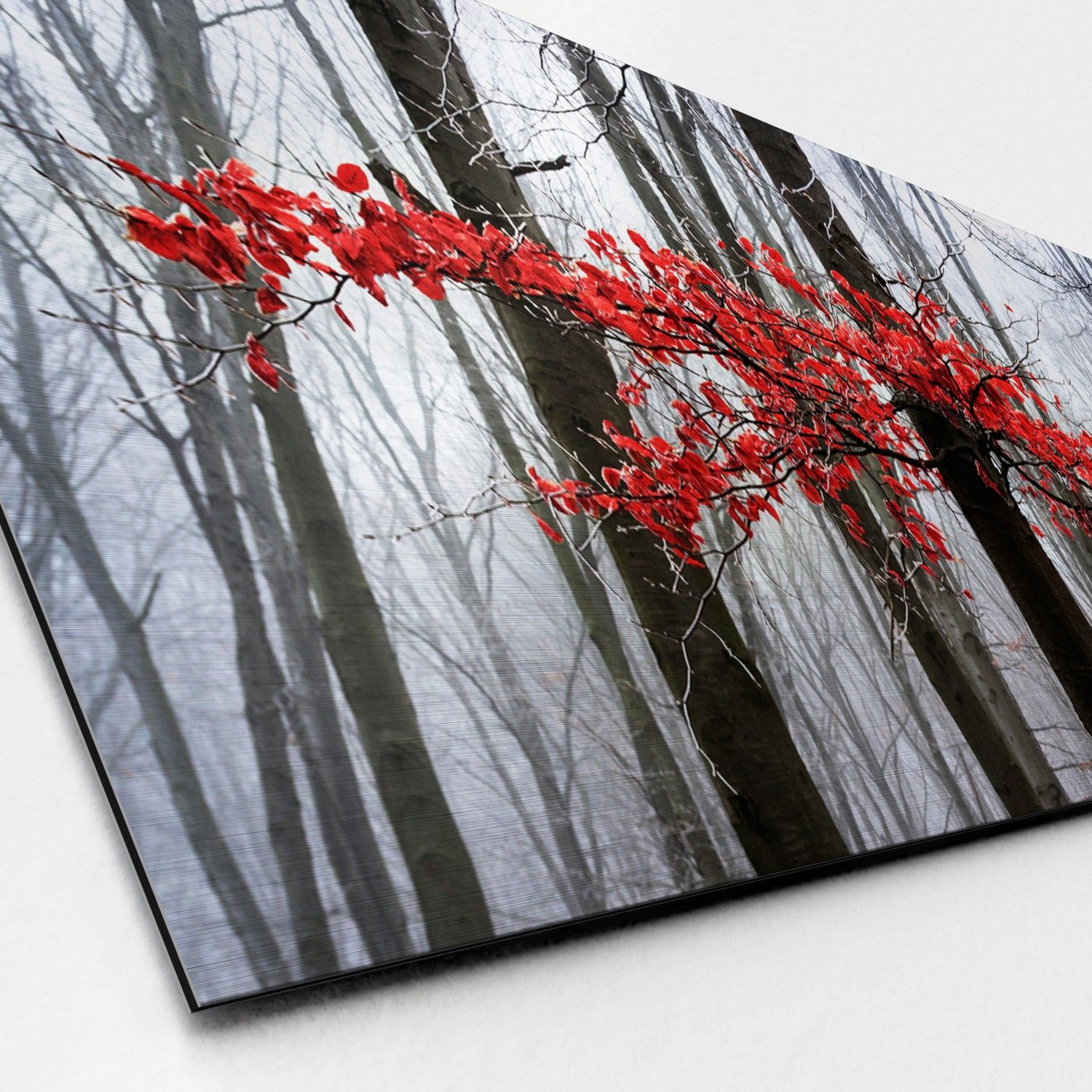 Aludibondbild MYSTIC TREES II