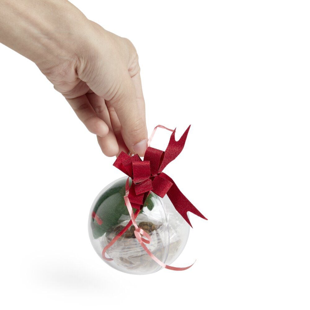 Friandises pour chat dans boule de Noël Ø10cm