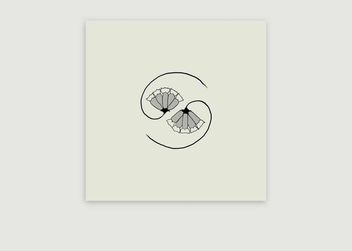 Godspeed You! Black Emperor - G_d’s Pee AT STATE'S END La vinyl-thèque idéale