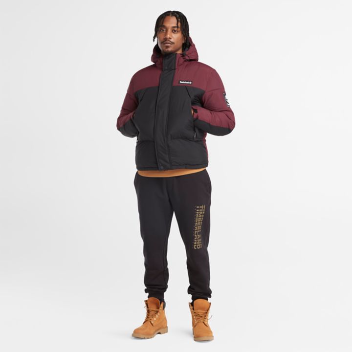 Jaqueta puffer Outdoor Archive masculina na cor bordô.