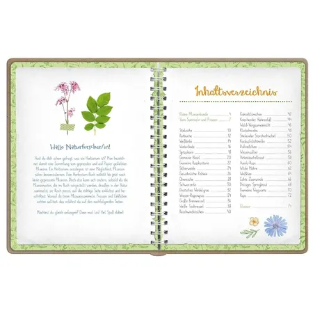 ars Edition Naturforscher-Kids – Blüten und Blätter entdecken und sammeln