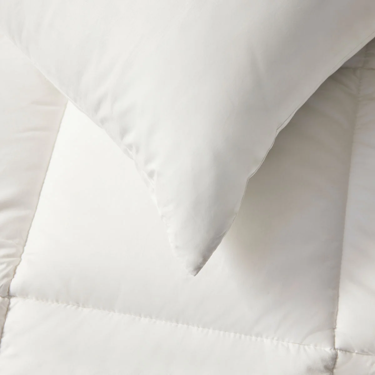 Oreiller Anti Punaises de Lit - Moelleux