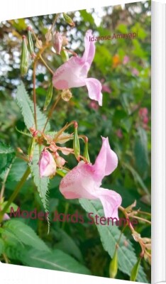 Moder Jords Stemme - Idarose Amayapi - Bog