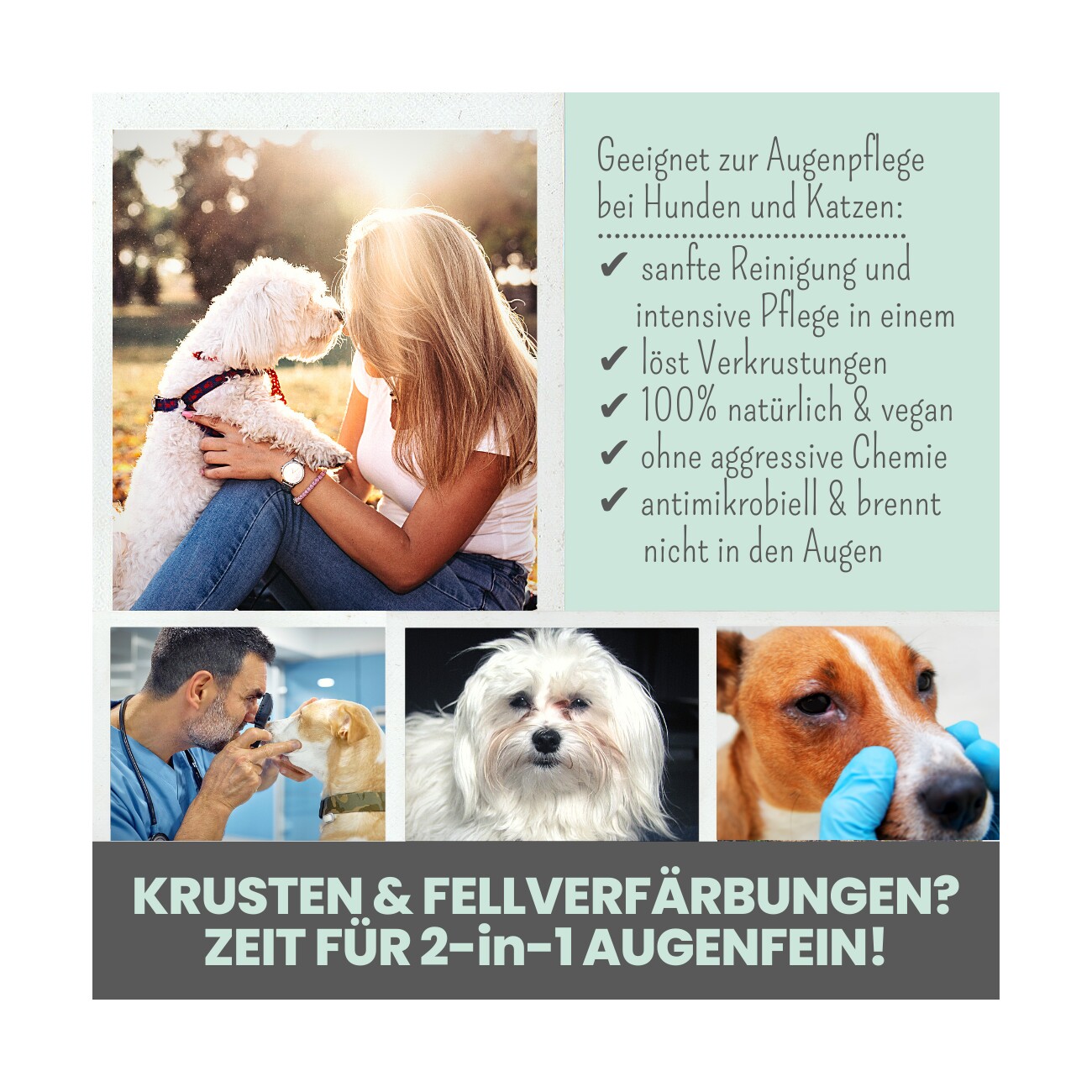 noms+ 2-in-1 Ohrfein Reinigung & Pflege für Hunde & Katzen 50ml