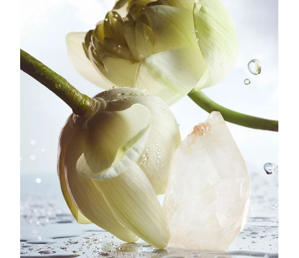 Bulgari Man Rain Essence Eau de Parfum