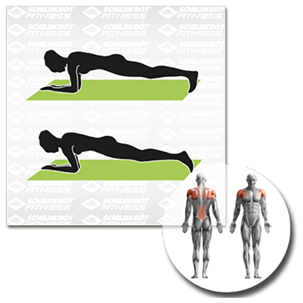 Schildkröt Fitness - Fitnessmatte