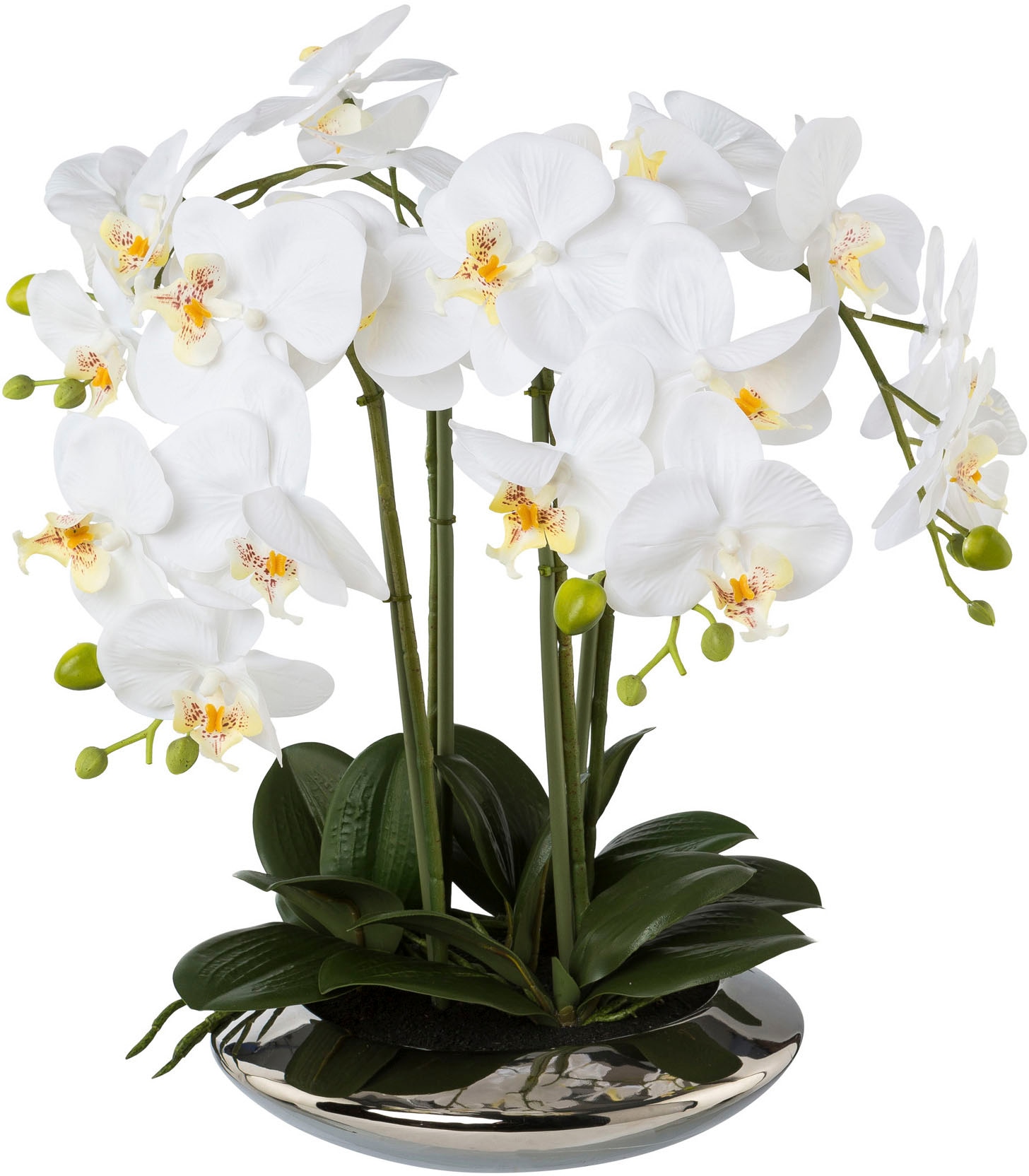 Creativ green Kunstorchidee »Deko-Orchidee Phalaenopsis in Keramikschale«