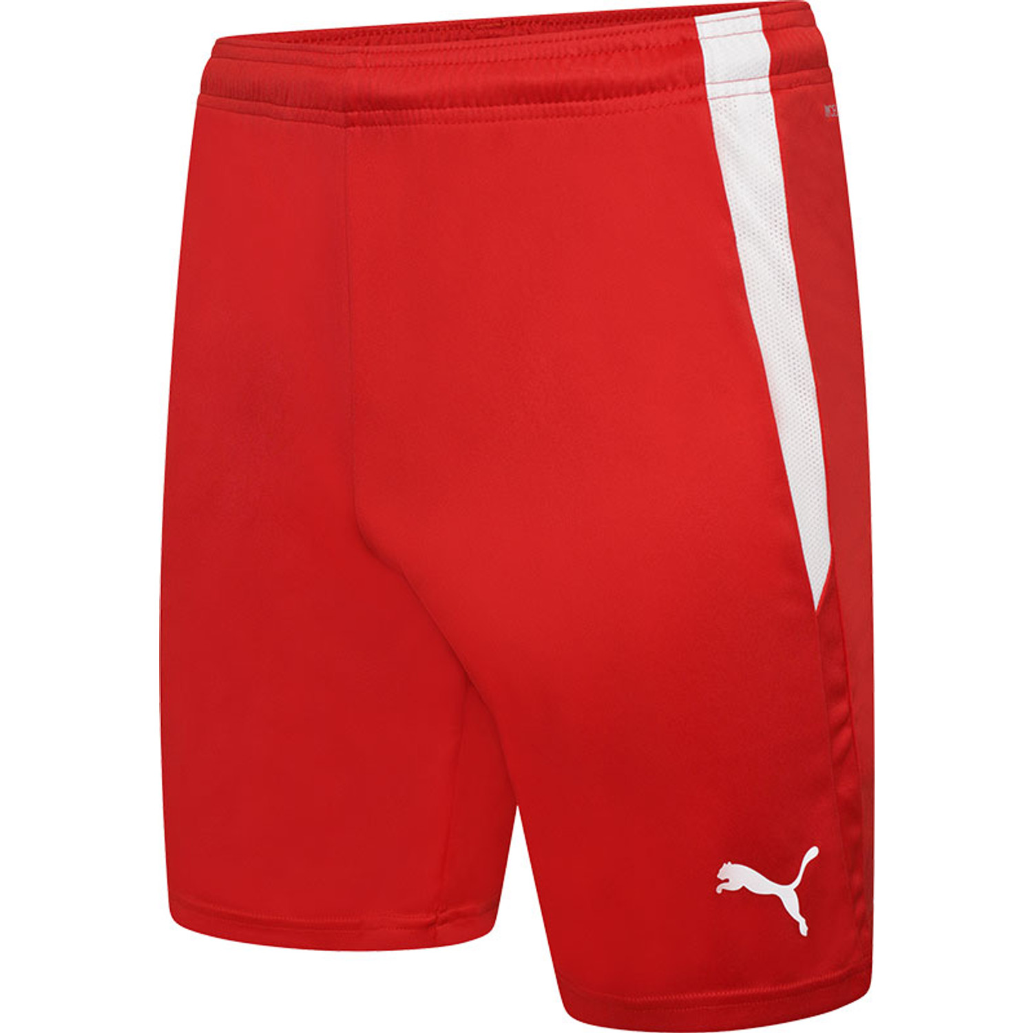 Puma LIGA Trainingsset