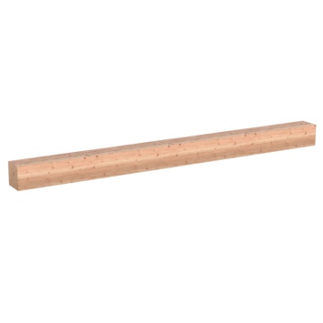 Tuinpaal vierkant Douglas ca. 12 x 12 cm, lengte ca. 250 cm