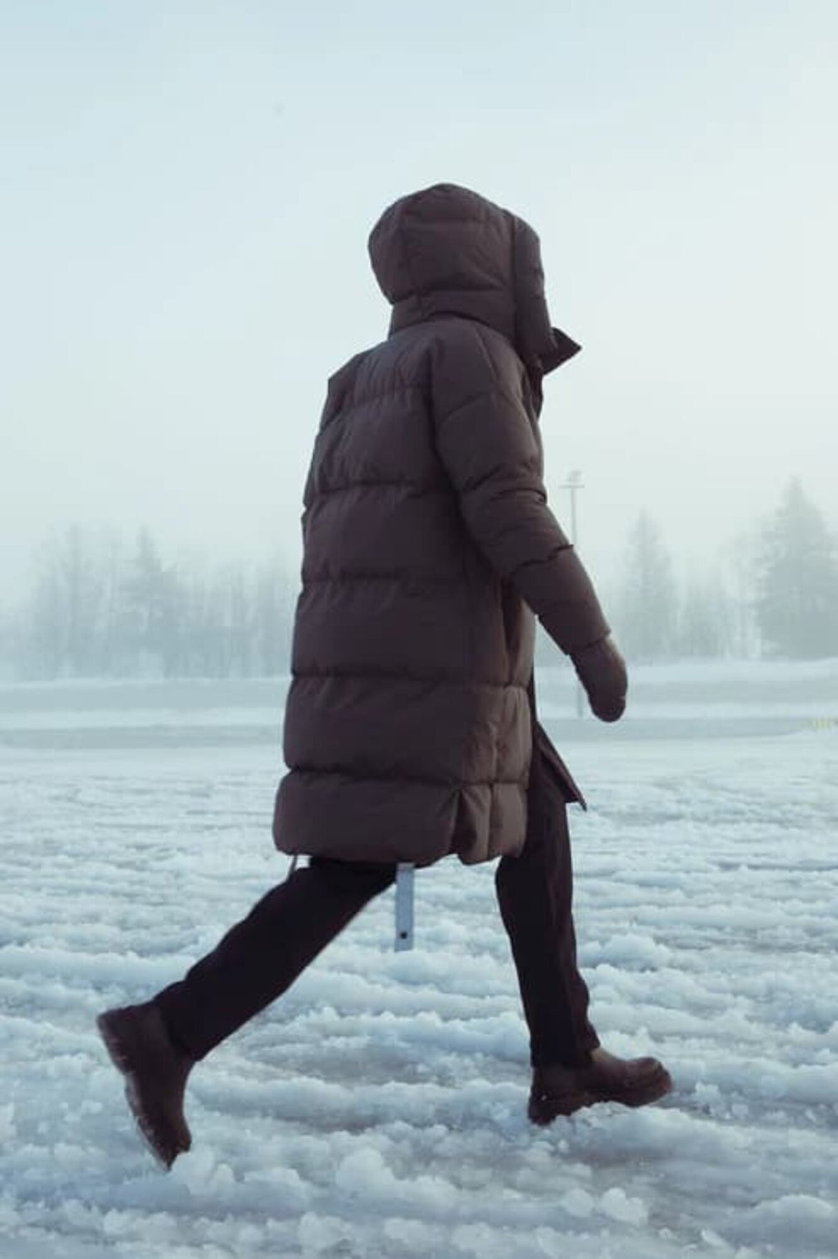 Scandinavian Edition<br>Swell II