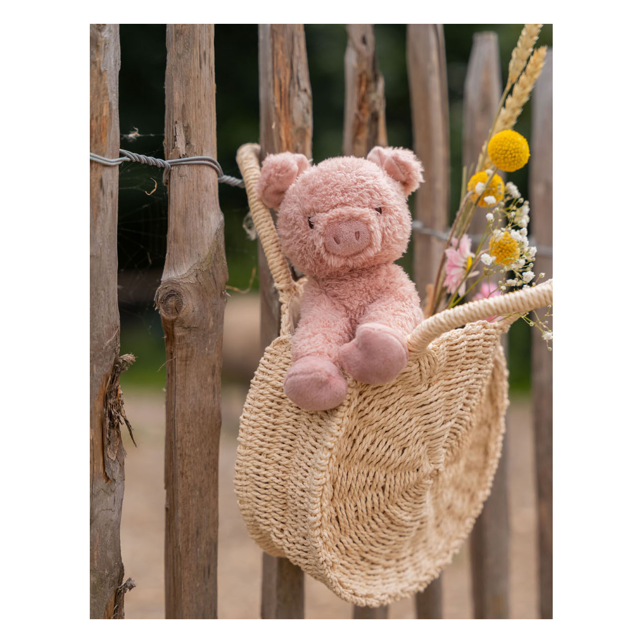 Little Dutch Knuffel Varken Little Farm, 17cm