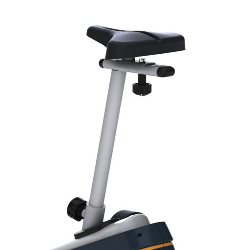 Bicicleta Estática Vertical Horizon Fitness B901 Tempo
