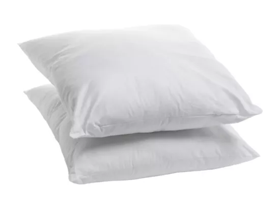 Lot de 2 Oreillers 60x60cm moelleux Anti punaises de lit