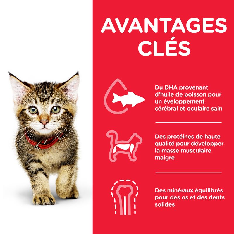 Hill's Science Plan Kitten poulet pour chaton - bitiba.fr