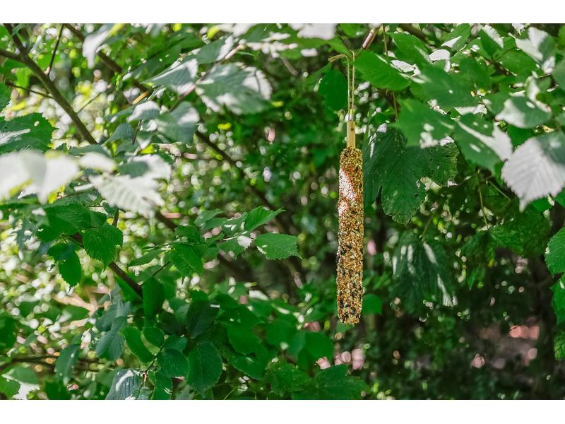 Trixie Vogelfutter Futterstange XL mit Hirse, 170 g Wildvogelfutter