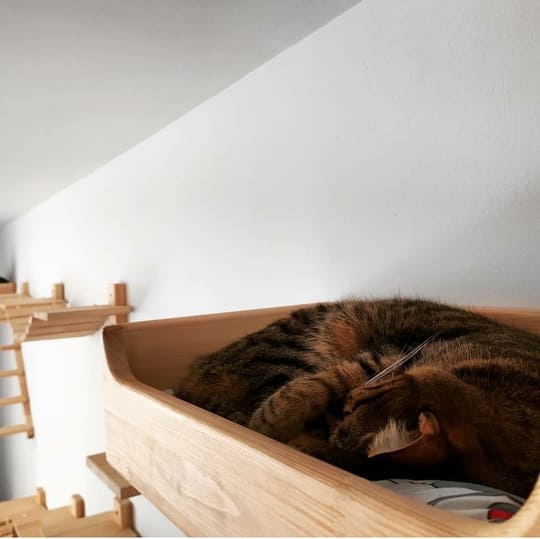 Cama retangular