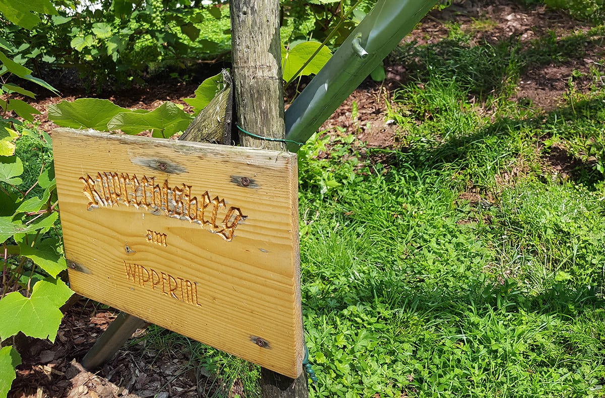 Kulinarische Reise nach Ilberstedt
