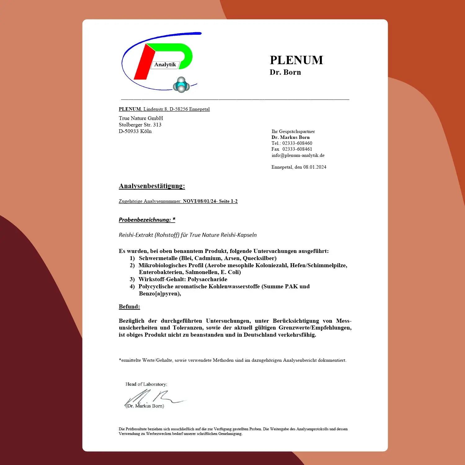 TRUE NATURE® Reishi Pilz Extrakt Kapseln - Vegan & Made in Germany