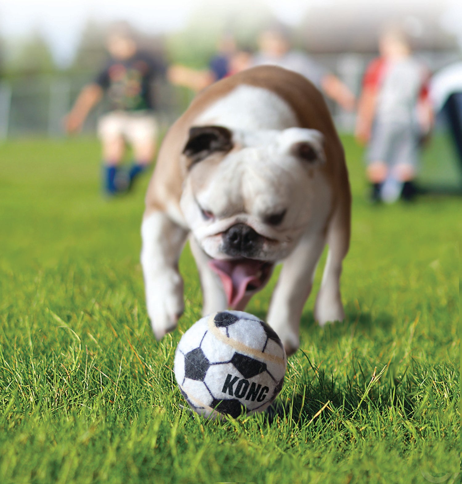 Kong hondenspeelgoed sportballen large D 6,4 cm 2 stuks