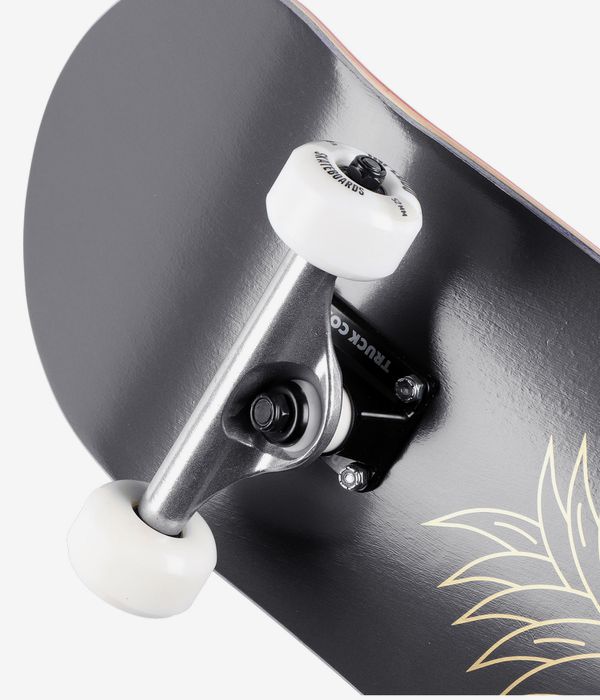 Inpeddo Pine Black 8