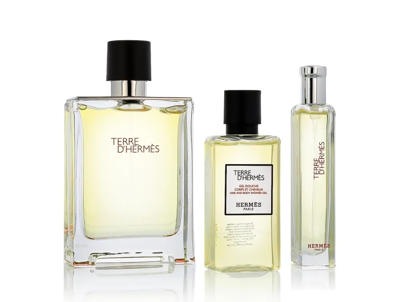 SET HERMES Terre d'Hermes EDT spray 100ml   EDT spray 15ml   SHOWER GEL 40ml