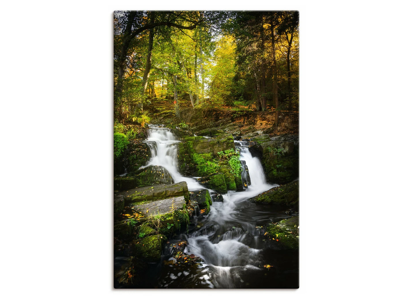 Hochwertiges Leinwandbild „Selkefall im Harz“