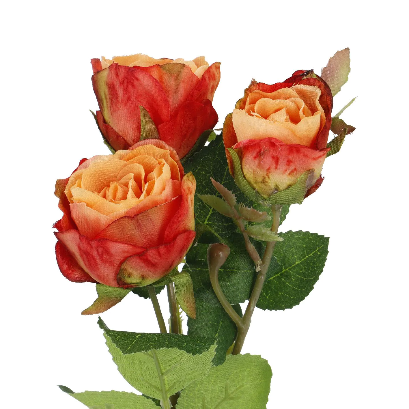 Rose Alina, 3 Blüten/orange, 38 cm