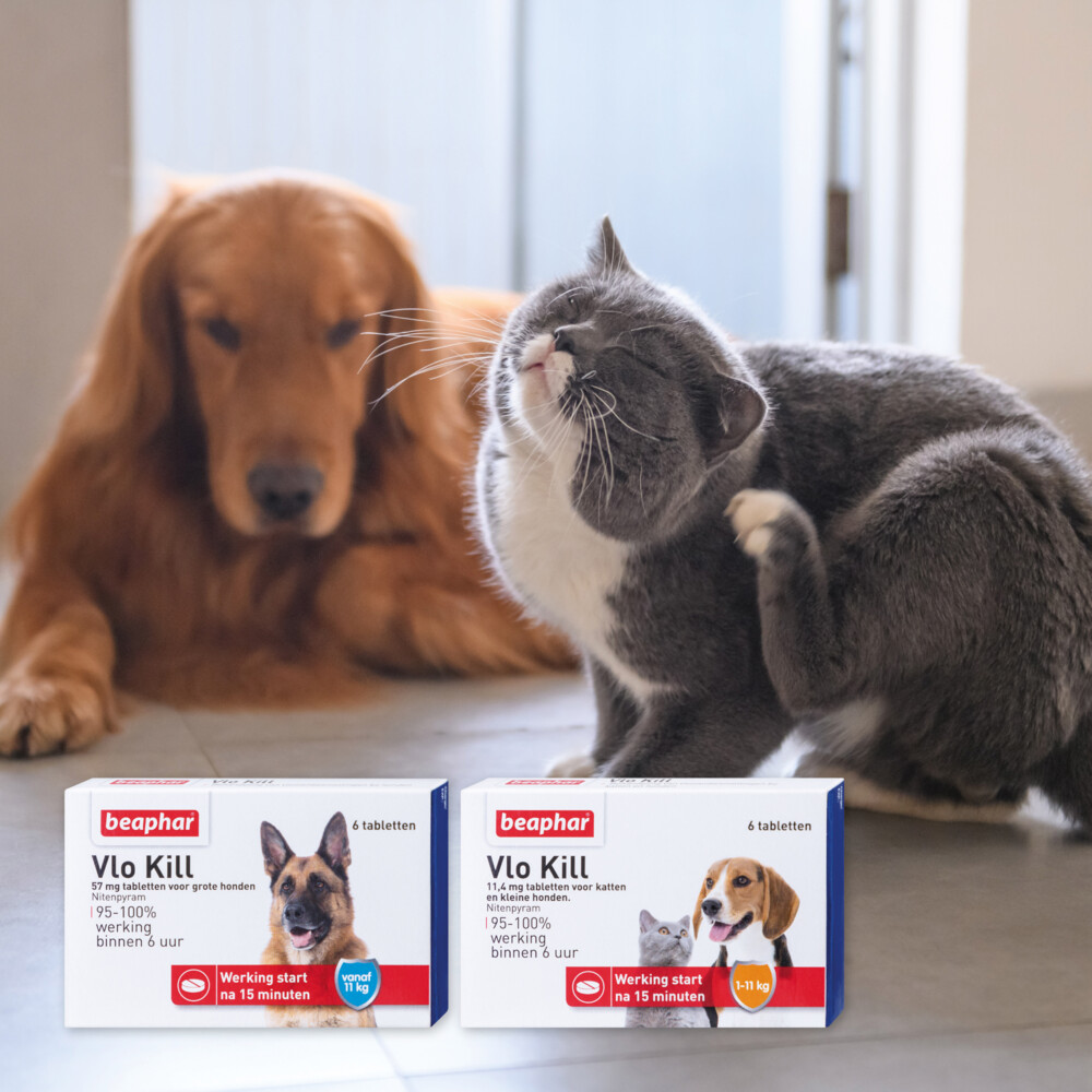 Beaphar Vlo Kill Anti Vlooien Tabletten Hond 11 - 57 kg6 tabletten