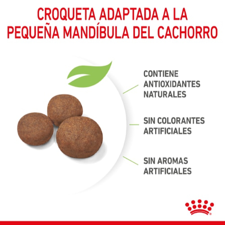 Ração Royal Canin para filhotes de porte médio