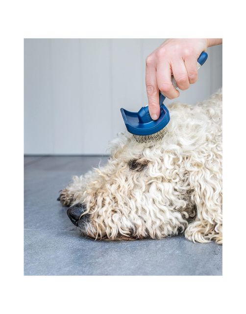 Mikki Doodle Grooming Kit - Hondenvachtborstel - Blauw Grijs