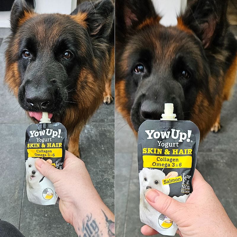 YowUp! Yogurt Skin & Hair Hond 115 gram | 13935