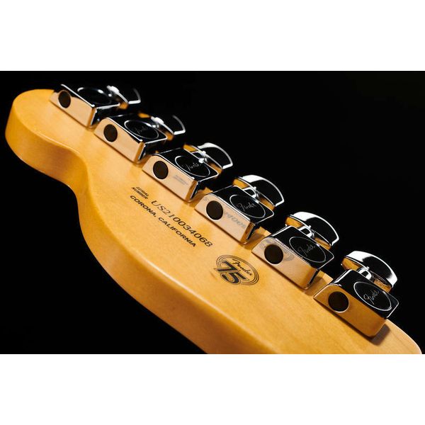 Fender AM Pro II Tele DK NIT