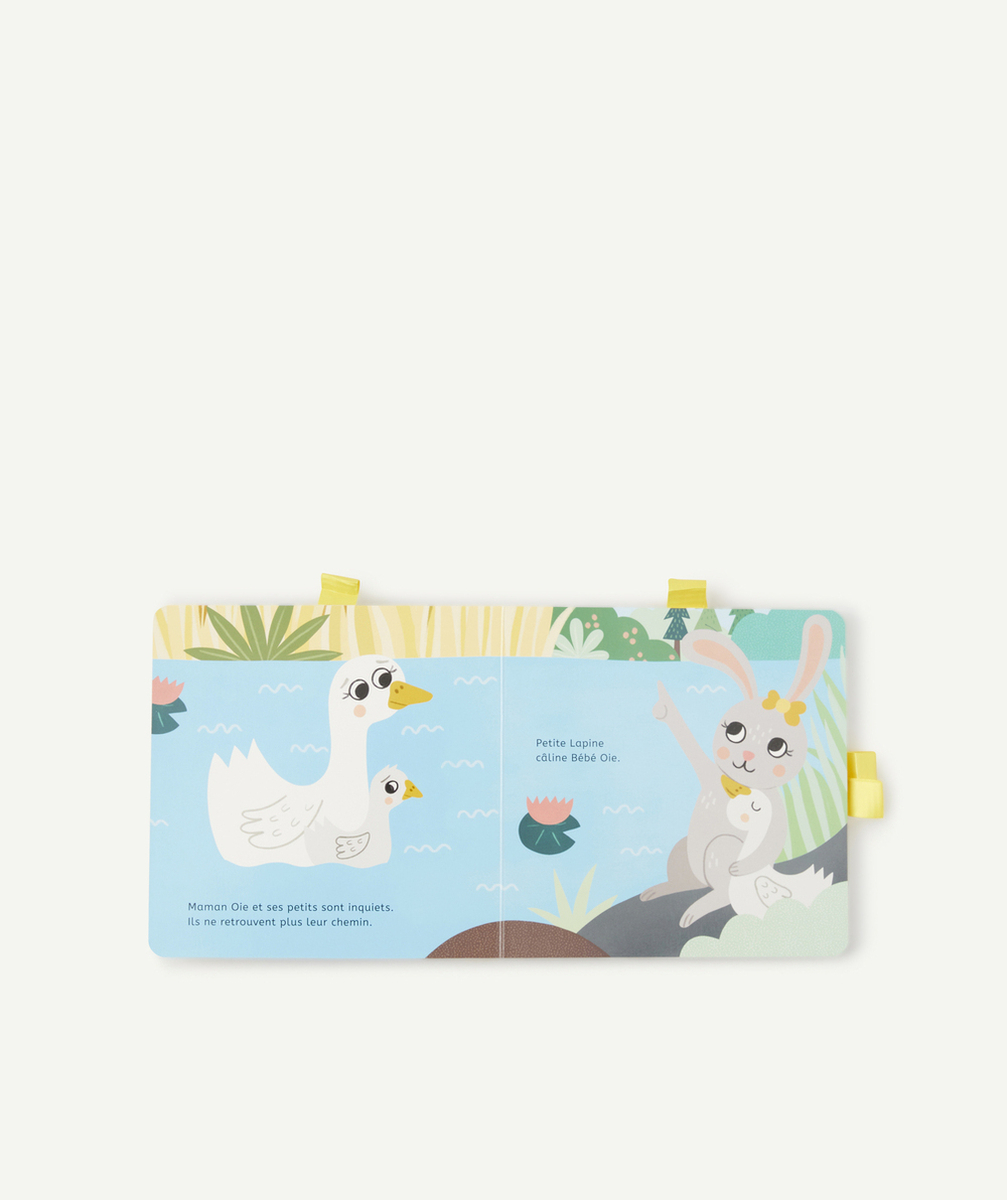 AUZOUCÂLINE, PETITE LAPINE