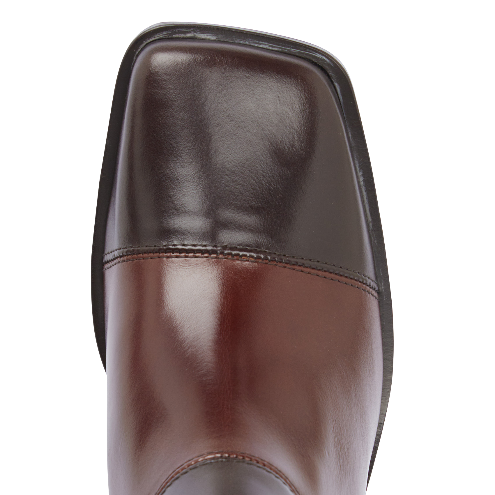 Bottines en cuir | Marron
