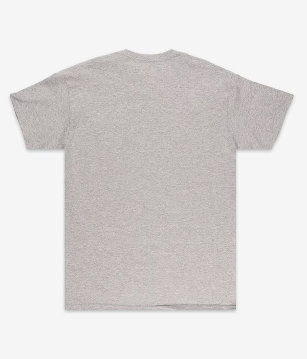 Thrasher Skate & Destroy T-Shirt (grey)