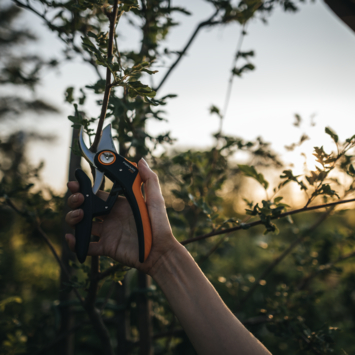 Fiskars snoeischaar P721