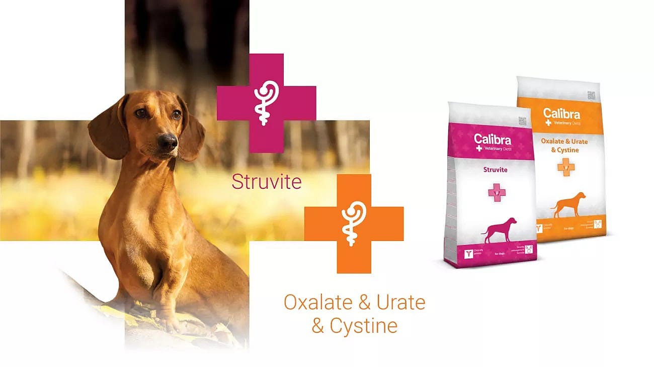 Calibra Dog Veterinary Diets Struvite | 12 kg | 11782.1