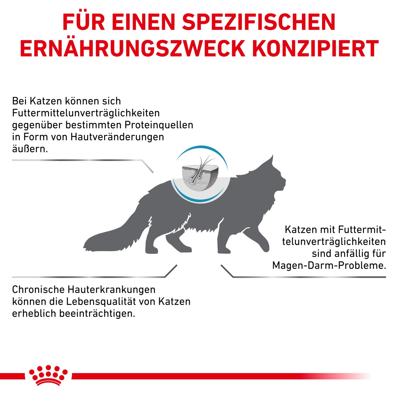ROYAL CANIN Veterinary Anallergenic 2 kg