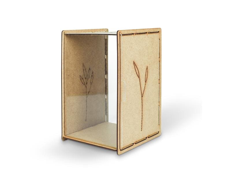 Mein Raupenkasten Insektenhotel Raupenkasten Aufzucht-Box