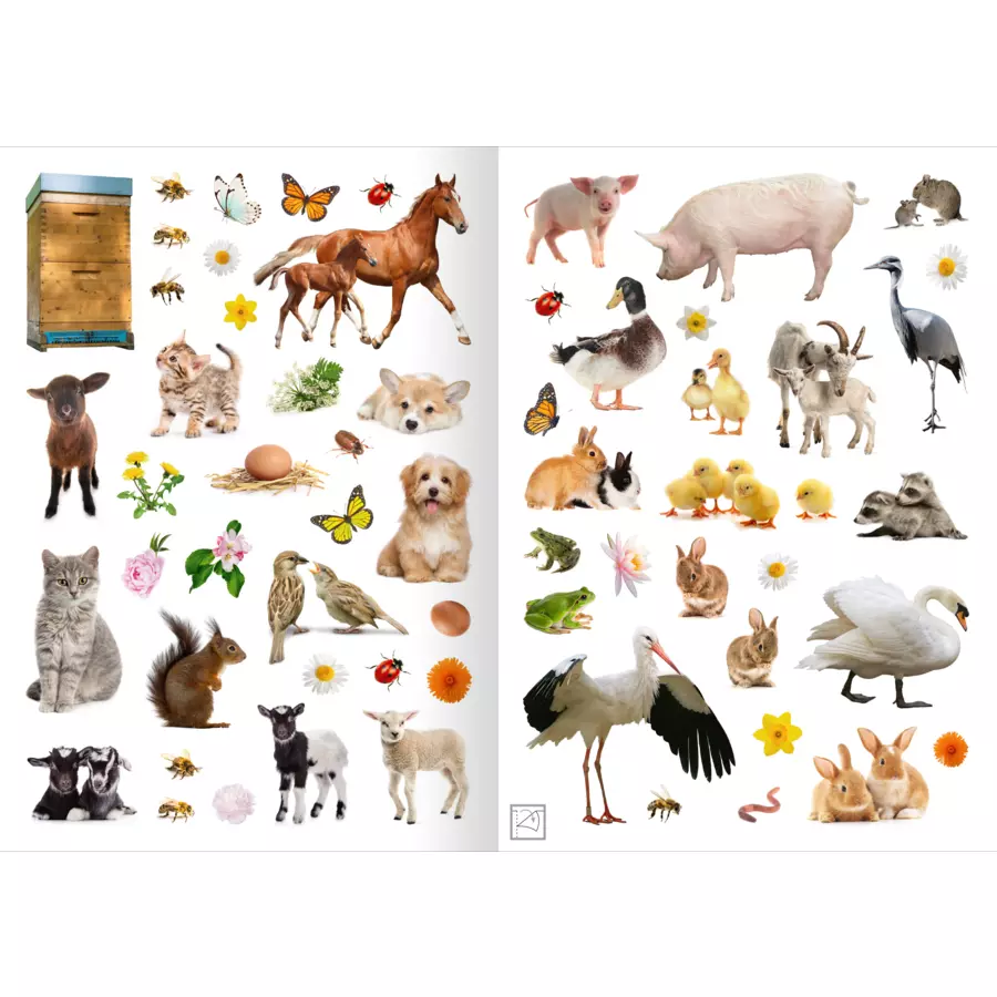 arsEdition Mein Foto-Stickerspaß – Frühling