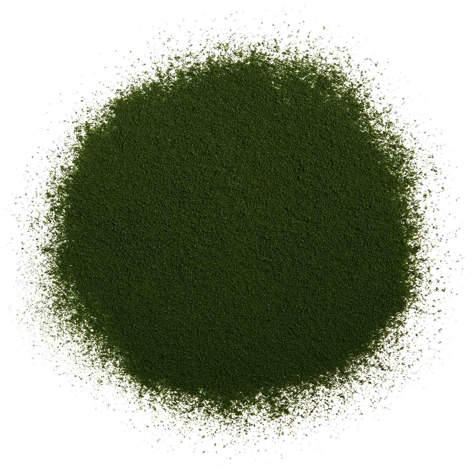 tea exclusive - Hafergras Saft Pulver bio