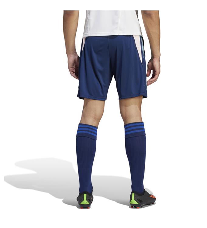 adidas Men Ajax Amsterdam Tiro 23 Training Shorts 2023/2024
