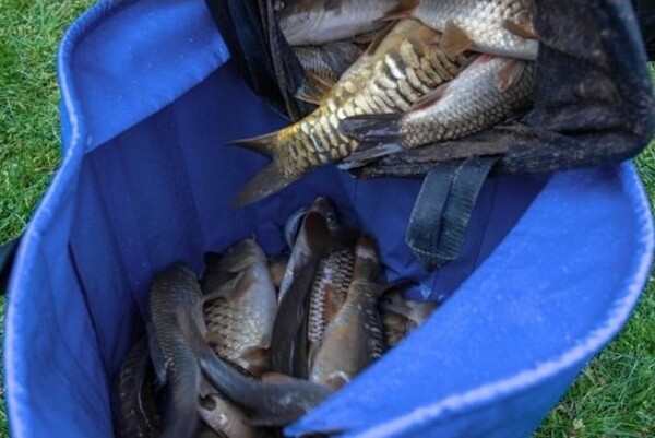 Sac de pesée robuste Preston