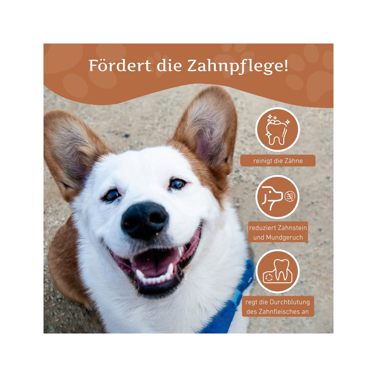 Wildfang Welpen Paket 