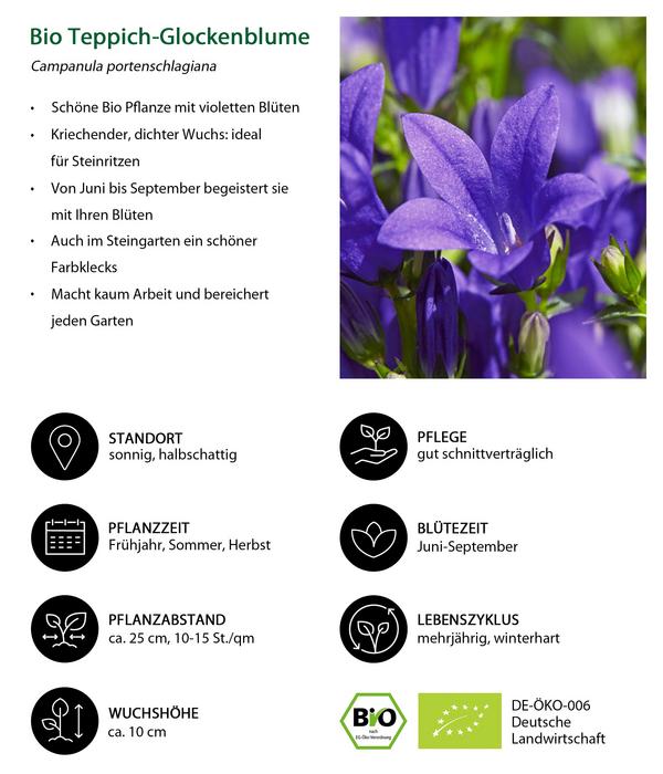 Bio Stauden-Set Alpengarten, 12-teilig