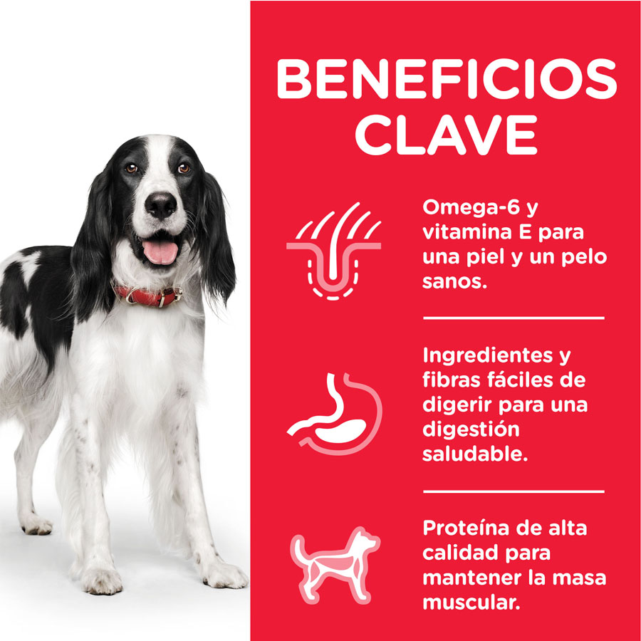 Hill's Science Plan Peru em lata para cães adultos