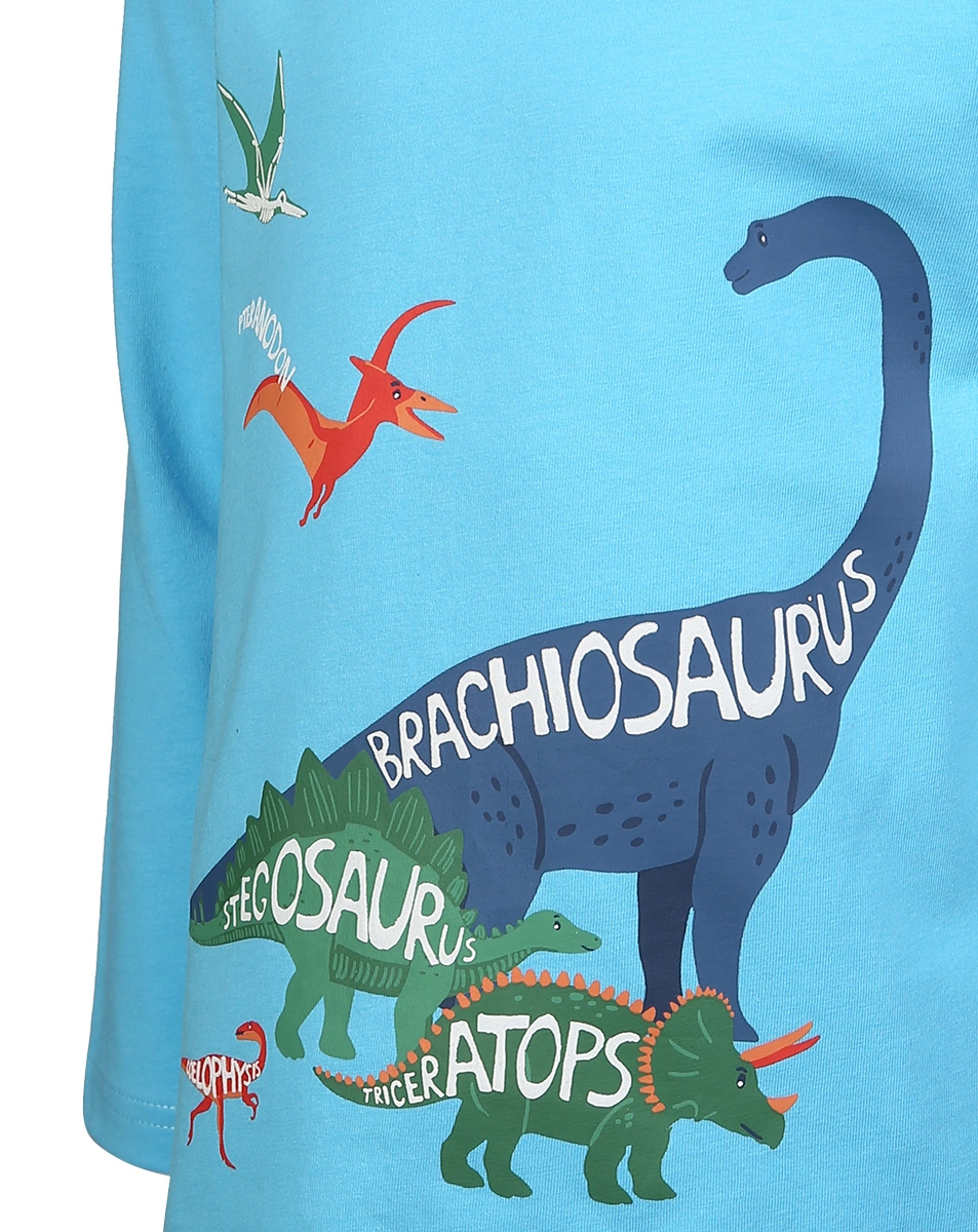 Langarmshirt DINO FREUNDE in türkis